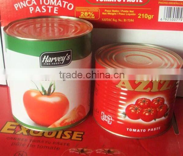 70g Canned Tomato Paste, Sachet Tomato Paste.Tomato Sauce, ketchup.