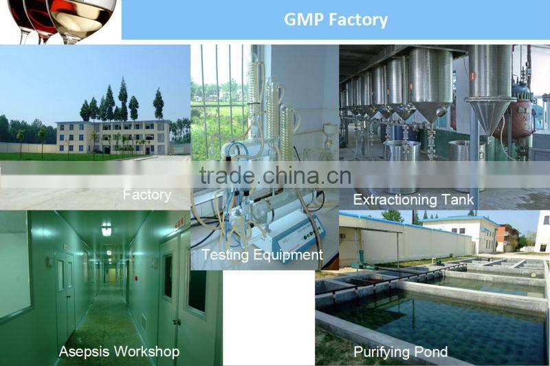 Delicious fruit juice powder natural Dried/Frozen Pomegranate Powder