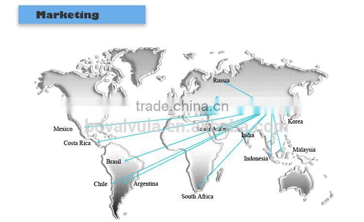 DIN Welding Neck carbon Steel forged Flange supplier