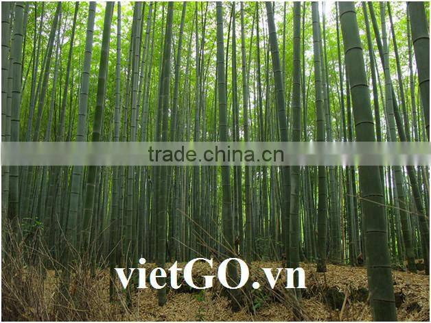 Eco-friendly perfect for BBQ Bamboo Skewer from Vietnam