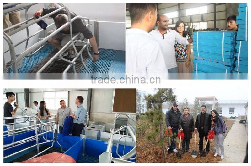 Hot sale automatic manure leaning machine for pigs and chicken manure scraper