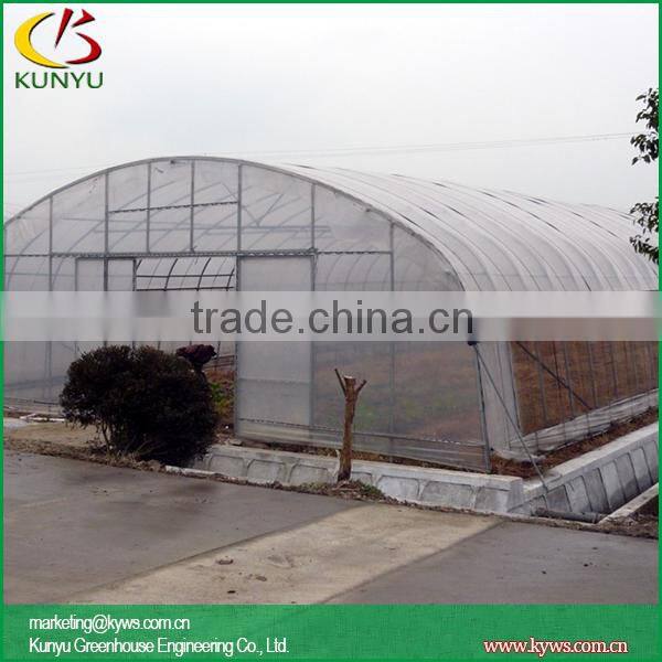 Arch roof type tunnel greenhouse indoor greenhouse kits residential greenhouses