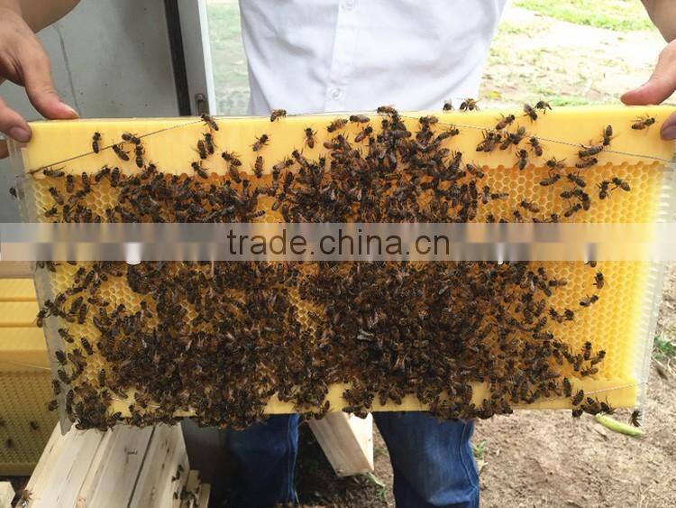 Beehive plastic beehive machine,Beehive Bee hive for Beekeeping