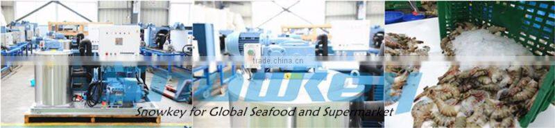 Newest design fresh water on land type 4000 kgs per day flake ice machine with air cooling condenser