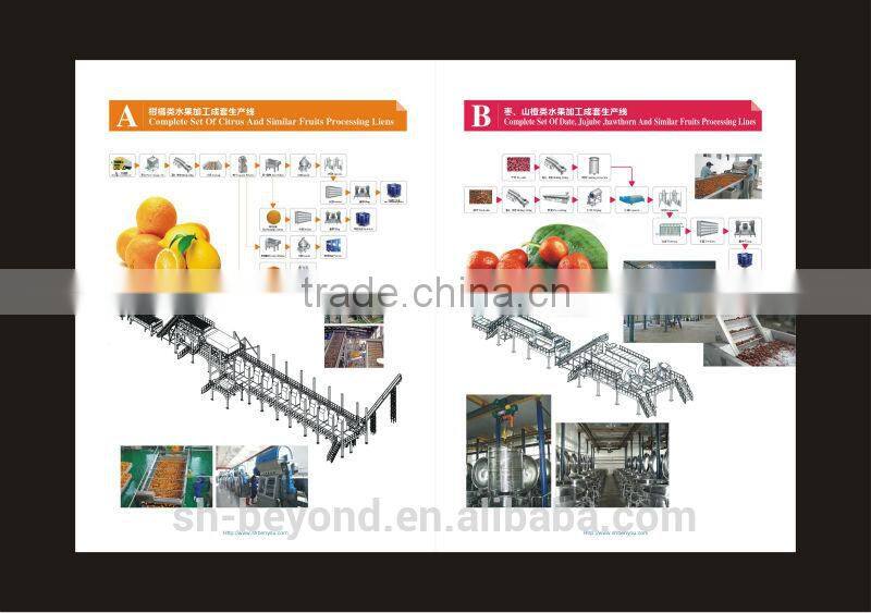 Complete Date Fruit Juice Processing Line