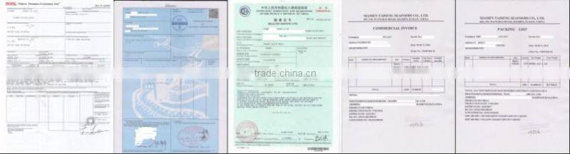 Frozen Indian Mackerel