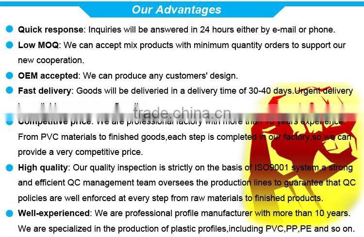 Custom European standard plastic profile extrusion