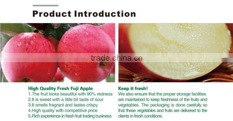 China hot sale fresh sweet fuji apple fruit