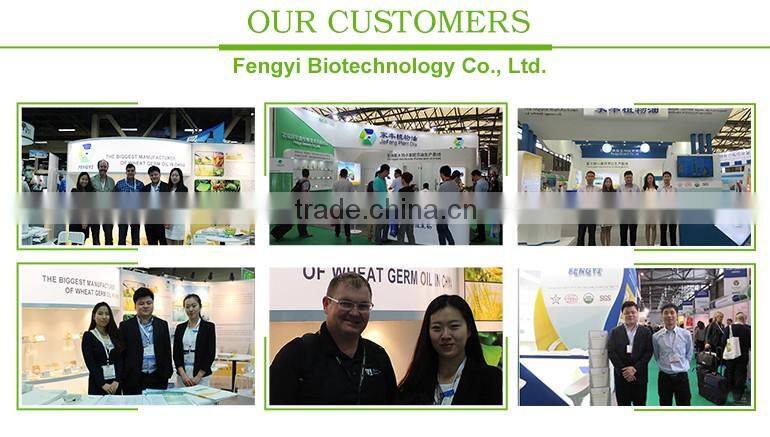 GMP Manufacturing Pure Natural Refined Pumpkin Seed Oil