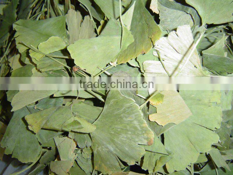 Ginkgo Biloba Extracts
