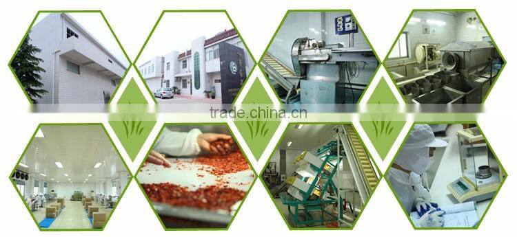 Professional Spices Manufacturer farm green,red bell pepper price for salad, soup