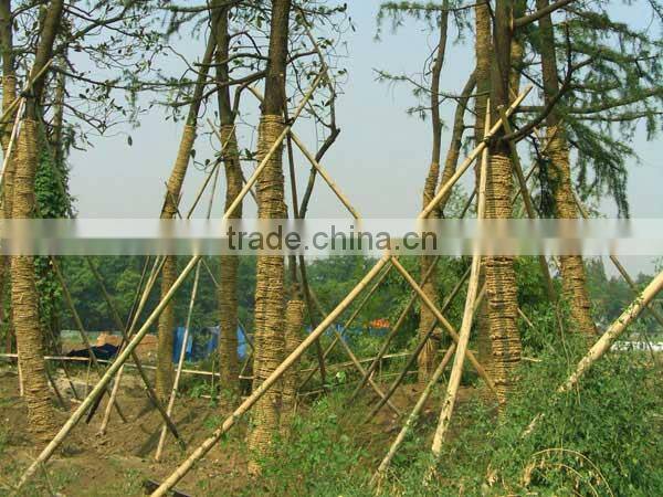 2017 Easy Installation & Operation Product Full Automatic Grass/Rice/Wheat/Corn stalk Straw Rope Making Machine