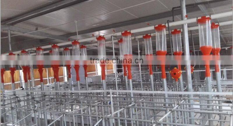 pig farming equipment for piglets
