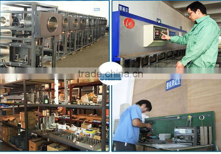 Quick Freezing Equipment (Vegetable Freezer Machine)