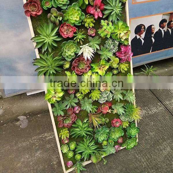 indoor decoration artificial mini succulent plants wall