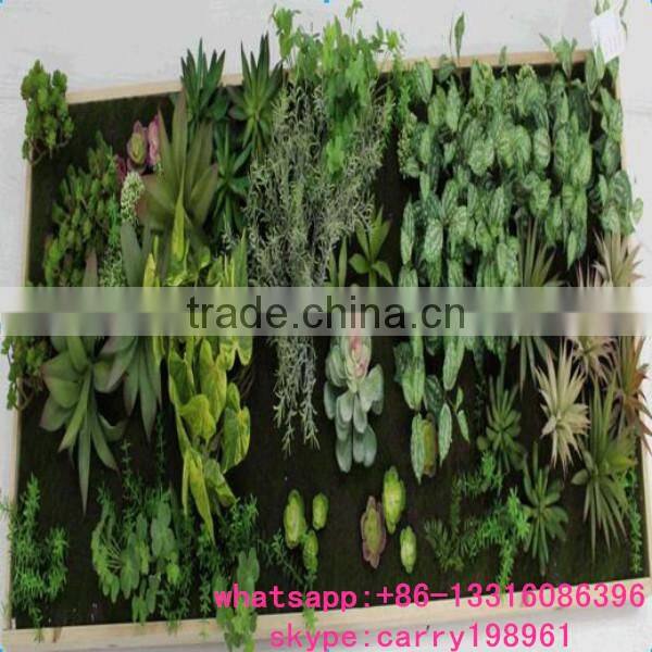 SAS0507 High Quality Decoration Plant Wall