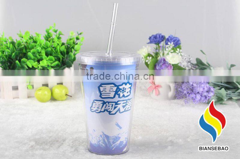 Double Wall Plastic Acrylic Paper Insert Tumbler With Straw