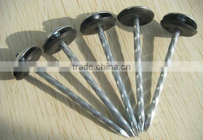 Galvanized Umbrella head Roofing nails from Guangzhou Supplier