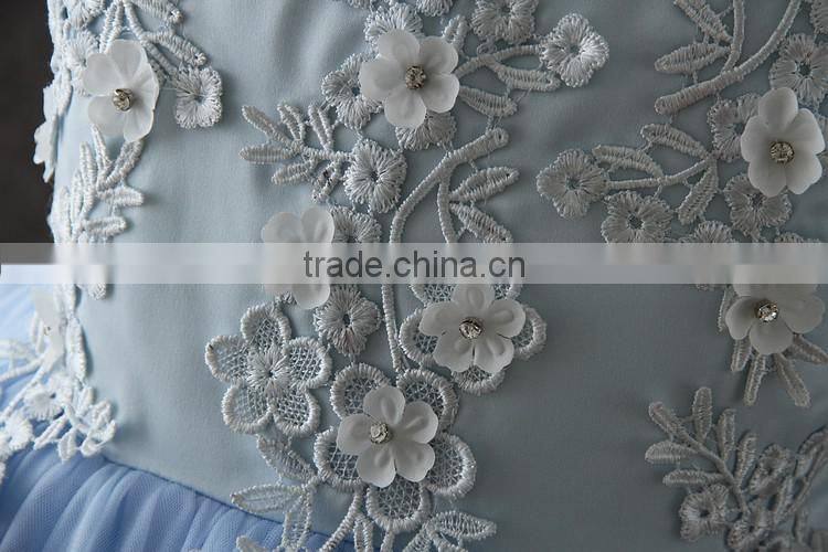 High quality OEM Princess Blue Short sleeves Embroidery Flower girls party dresses Lovely Fluffy Tulle baby Communion dresses