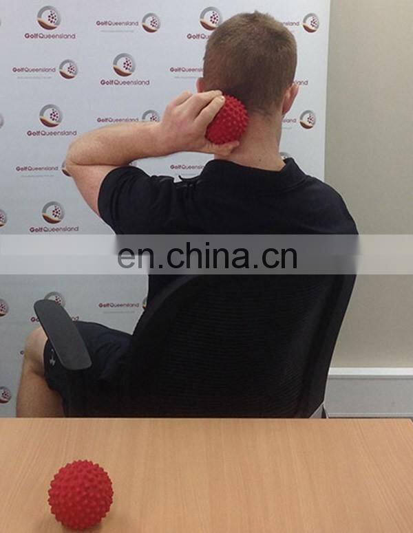 Pet Ball Toy Roller Spiky Massage Ball