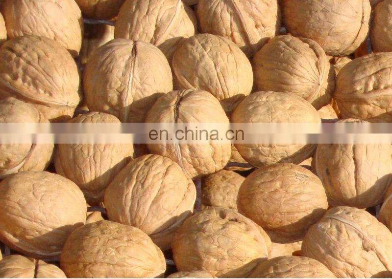 Walnut cracking processing line | walnut nuts shelling machine In United States