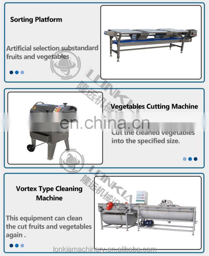 LONKIA Full Automatic Root/ Leafy Vegetables/Fruit/Salad Washing Dehydrator Line Water Bubble Washing with Factory Price