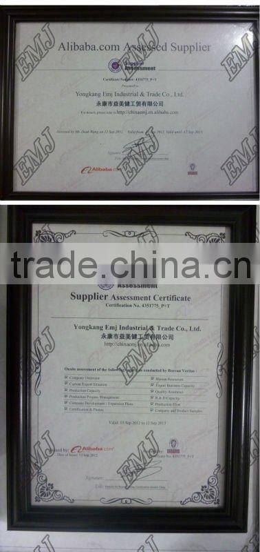 China factory EN131 2.5+2.5 meters aluminum telescopic Ladder