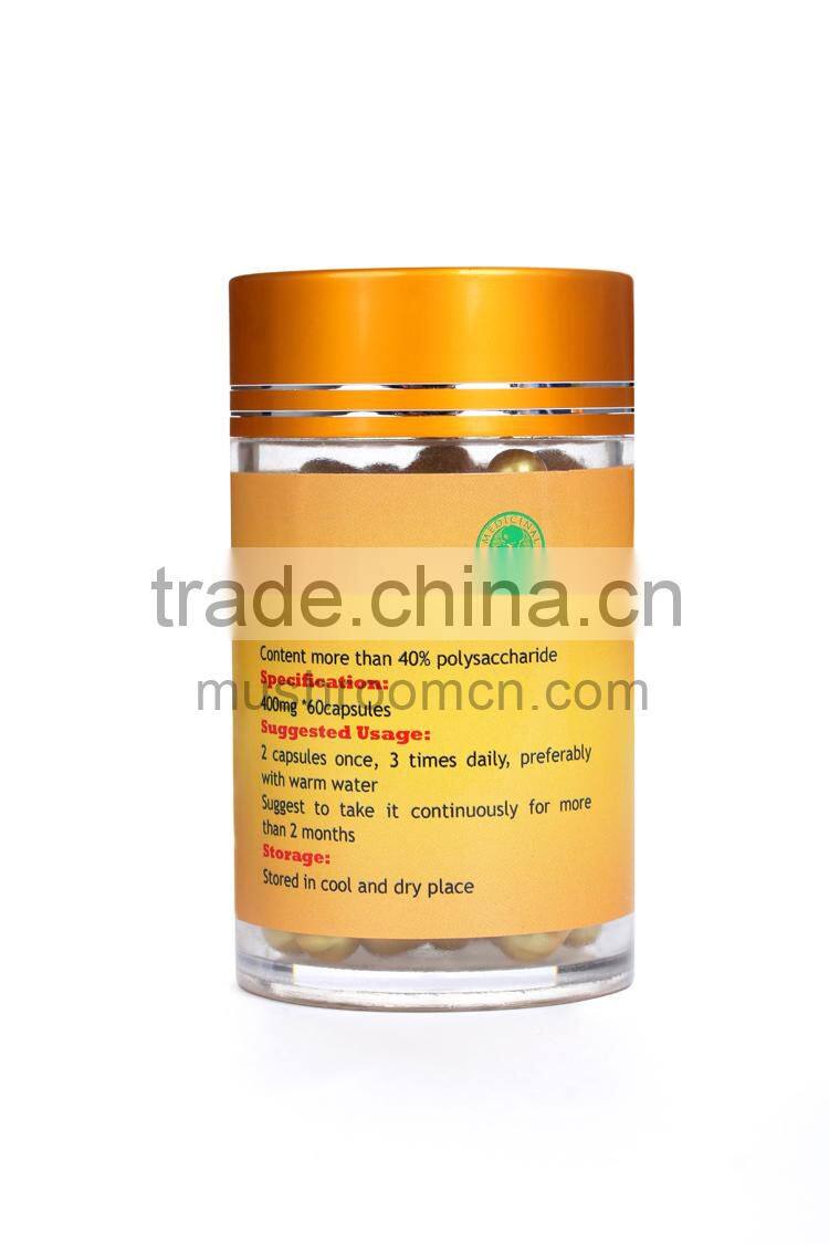 Herbal Supplements Type powder dosage form wild chaga chucks extract powder