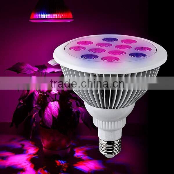 Christmas gift Led light manufacturing plant Light Low cost led growing Light