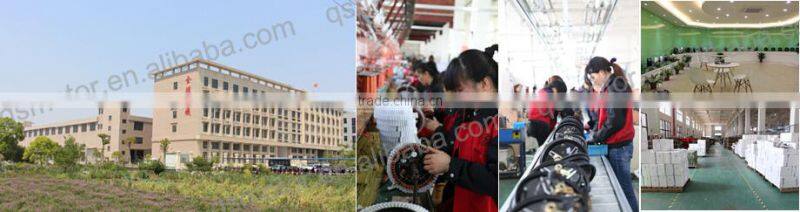 QS 12inch 3000W 260 (40H) E-Scooter Normal/V1 Type Hub Motor