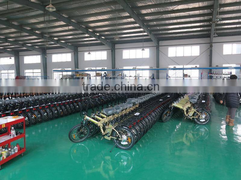 350W36V big power Fat tire electric bike with en15194