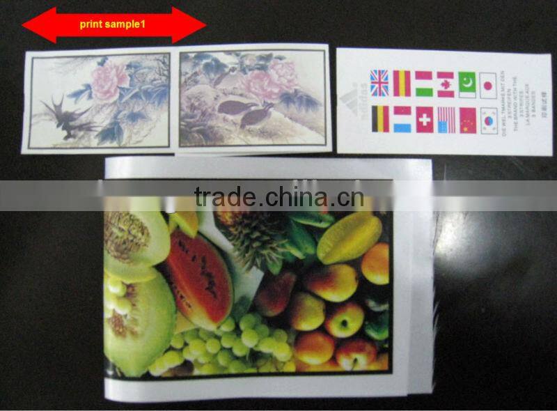 Flexographic press for ribbon