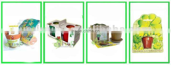 Mini Pyramid Garden, Flower Garden,Sunflower