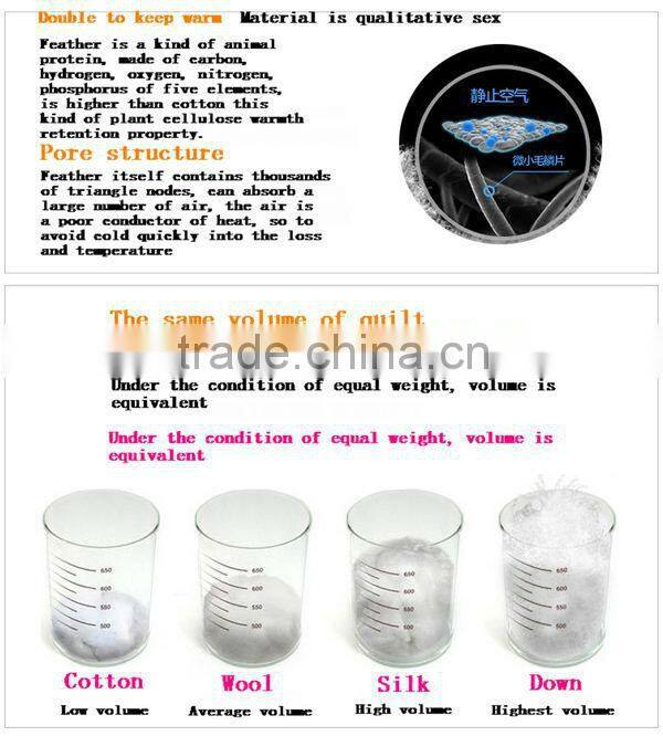 2015 New Style White Goose Down Comforter