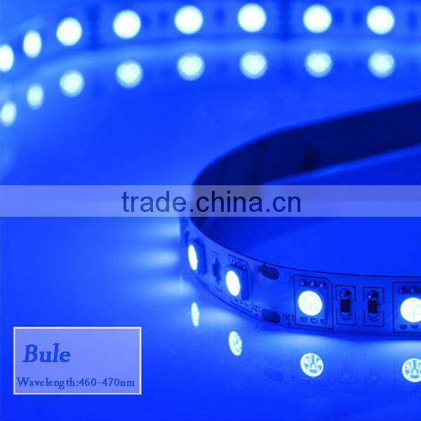 5050 SMD 60led/m Blue Non-waterproof 300leds LED Flexible Strip Light CE/ROHS