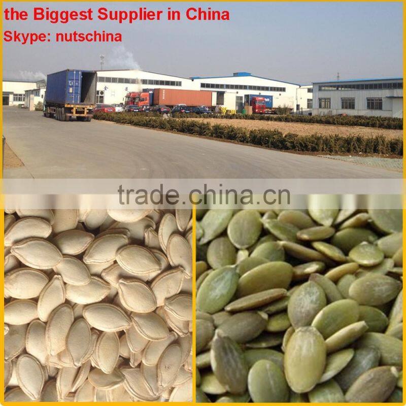 Pumpkin Seeds GWS AAA/AA/A/ oil grade
