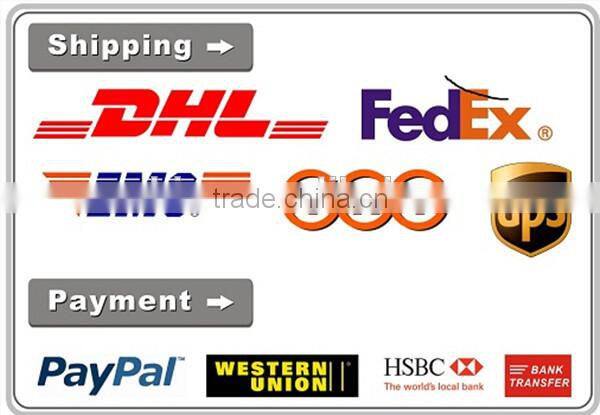 Soshine New 6A 5 Port USB Portable Travel Charger Rapid Charger for iPhone iPad Android Devices 5 port usb charger