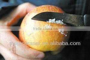 List Small Business Ideas Opportunities - Fruit Cleaning/Apple Cleaning Sponge