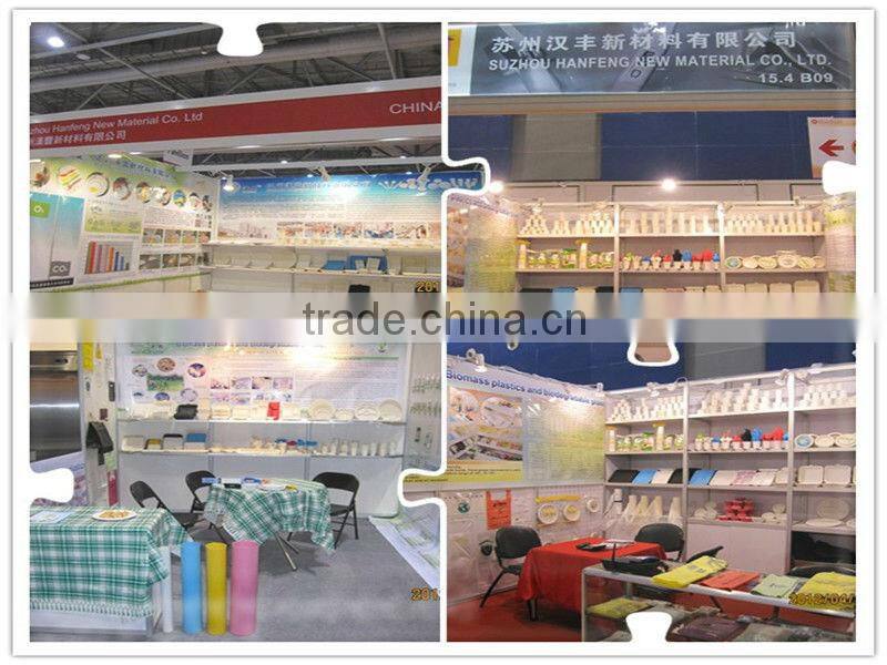 Biodegradable Compostable bento box