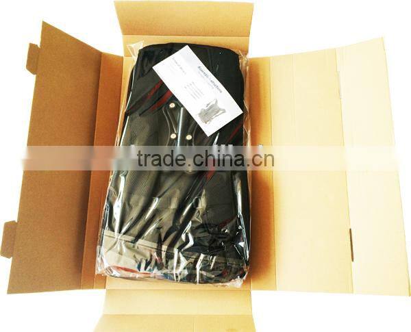 Carbon Composite High Quality Walking Mochila Backpack Flag Banner