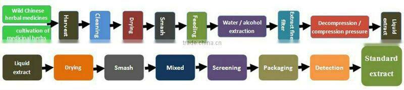 Epimedium powder icariin 50% 60% 80% 98% epimedium extract