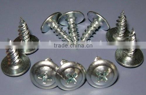 low price and best quality white zinc truss head self tapping screw