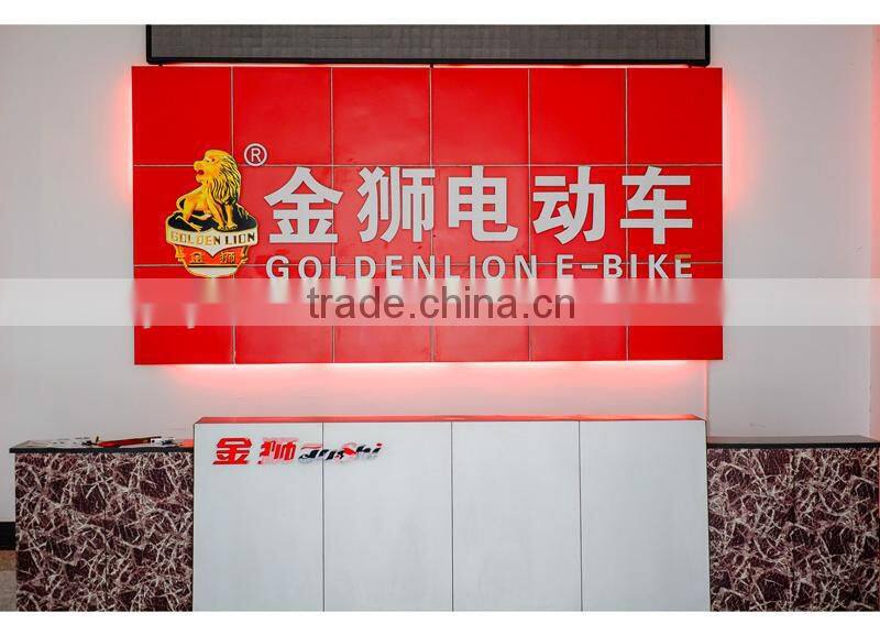 city bike lithium 36v 250w ebike battery