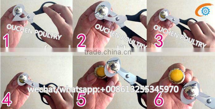 OUCHEN wholesale high quality plastic quail egg cartons tray packaging 12 18 20 24 30 holes for sale