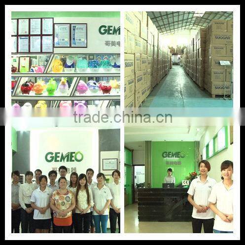 2013 wonderful GL-1121 with two bottles humidifier machine