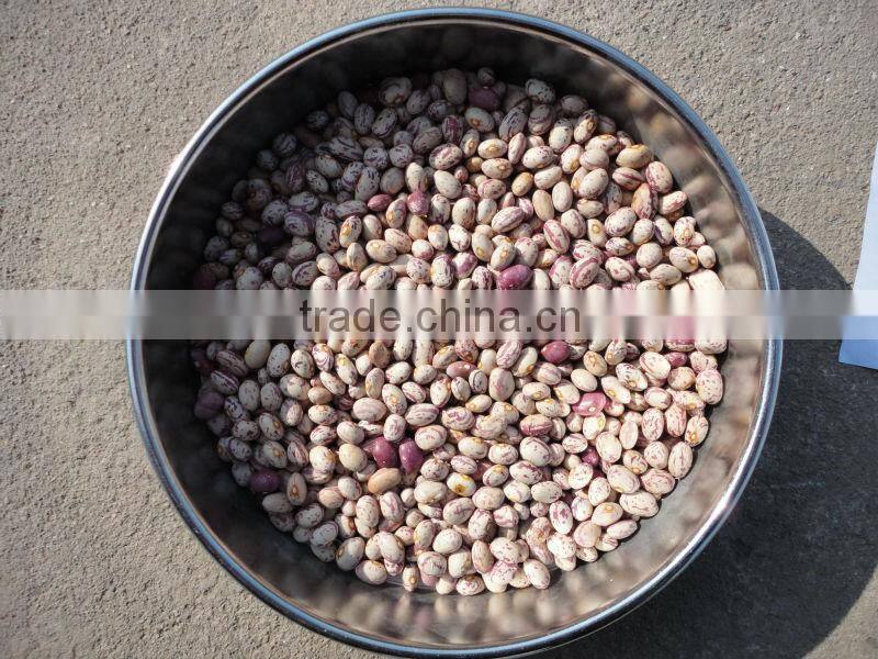 chinese Beans 2014 new crop;
