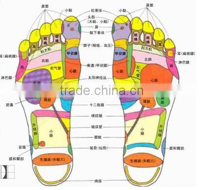 Health Care Products and Beauty Products! Foot Detox Powder/ Bama Herbs