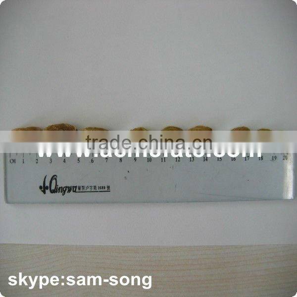 Big Size Sweet Green Raisin Hot Sale