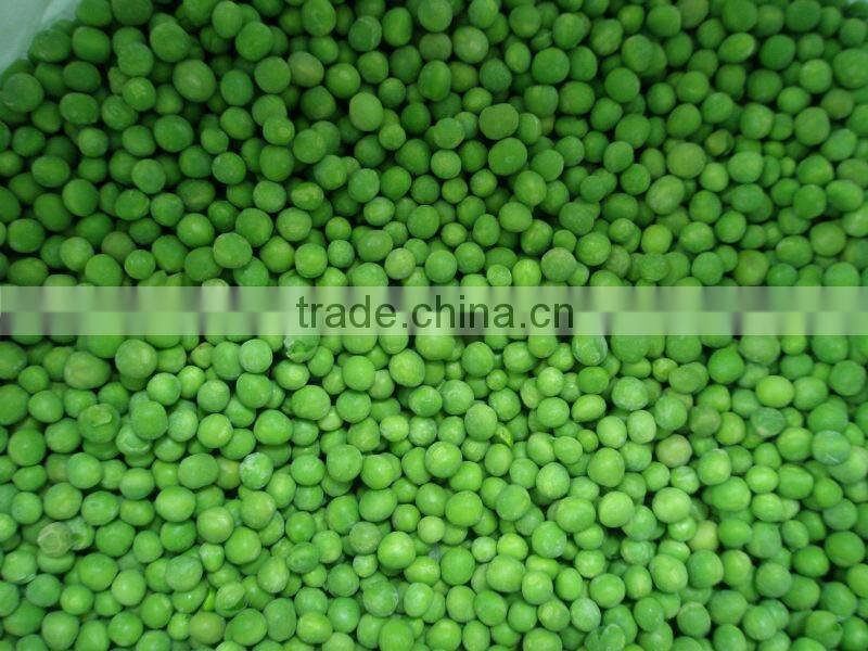 Best sale of frozen fresh green pea new crop