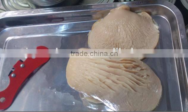 Canned new cap mushroom